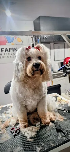 Salon Fafik Katarzyna Falkowska